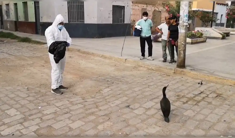 Los usuarios en las redes sociales se quejaron del procedimiento empleado por SENASA. Foto: Facebook