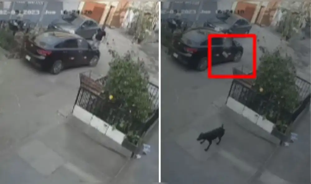 El intento de asalto quedó registrado en las cámaras de seguridad del distrito de Ate. Foto y video: TikTok/Junior Joze El intento de asalto quedó registrado en las cámaras de seguridad del distrito de Ate. Foto y video: TikTok/Junior Joze