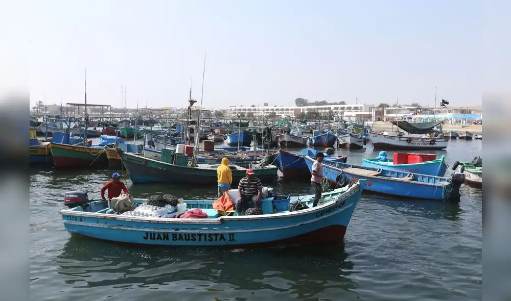 Bono busca llegar a 36.771 pescadores artesanales. Foto: Andina