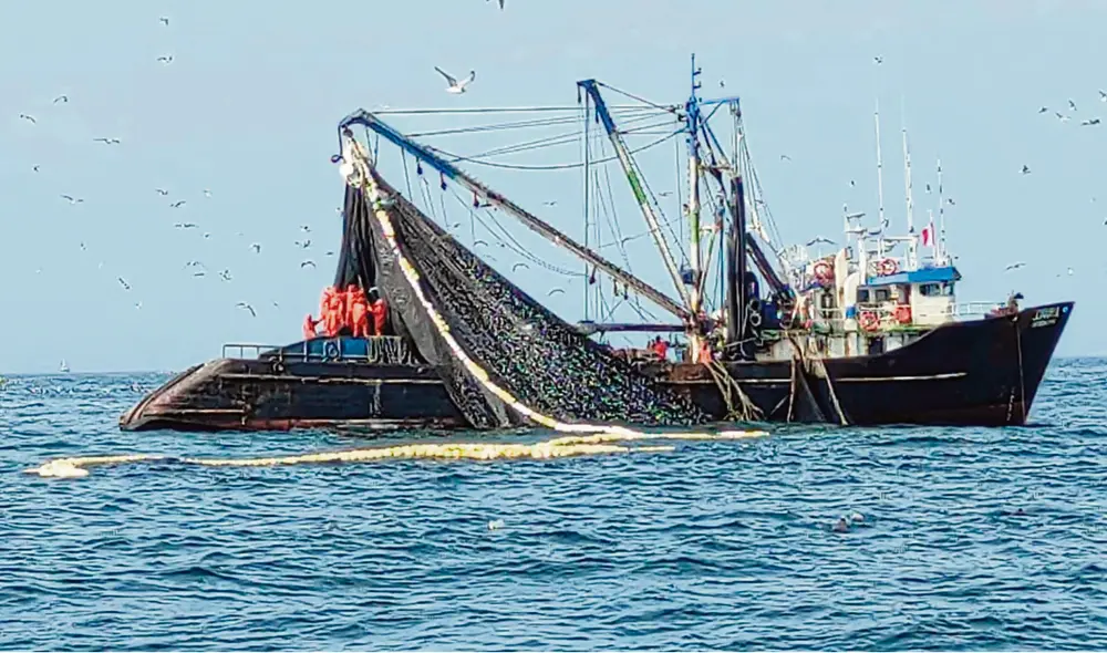 Bajo sospecha. La Fiscalía de Lavado busca determinar si personal de IMARPE infló la biomasa de anchoveta para favorecer a la industria harinera. Foto: difusión