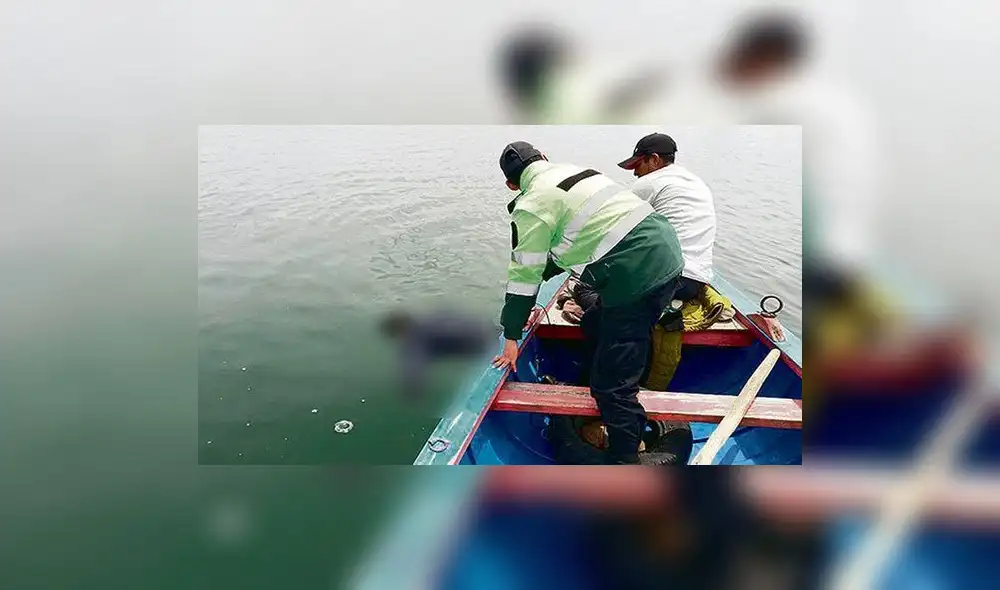 Cadáveres fueron rescatados del lago Titicaca. Foto: RSA