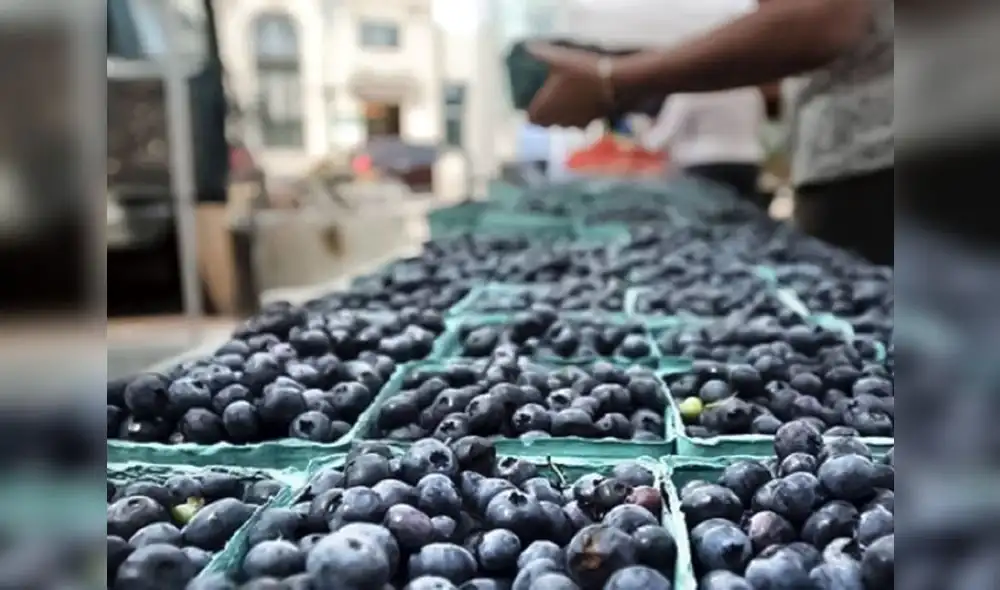 Exportación de arándanos sumó US$1.366 millones 290.000 en el 2022. Foto: Comex