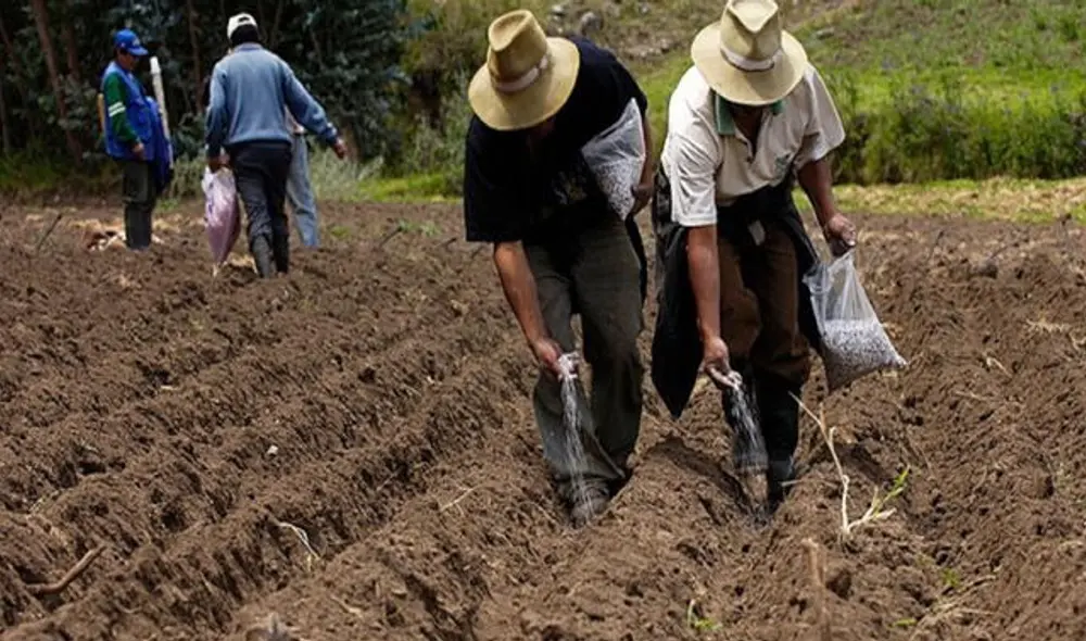 16 regiones fueron declaradas en emergencia a causa de las sequías. Foto: Andina 16 regiones fueron declaradas en emergencia a causa de las sequías. Foto: Andina