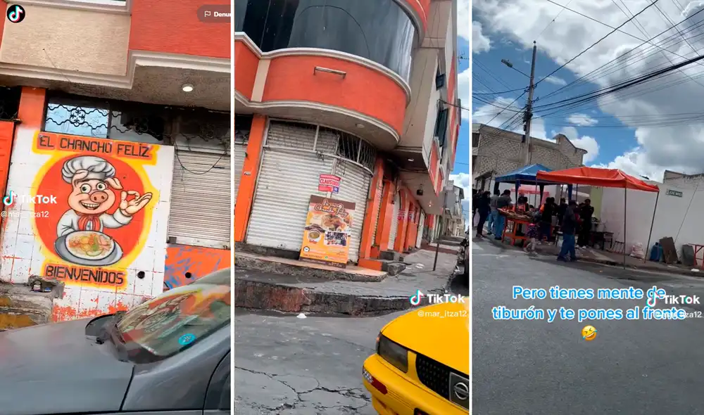 Video ha logrado miles de reproducciones en redes sociales. Foto: composición de LR/TikTok/@Mar_itza12