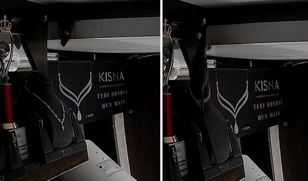 El video generó miles de comentarios en redes sociales. Foto: composición de LR/TikTok/@RajeshHinganka2