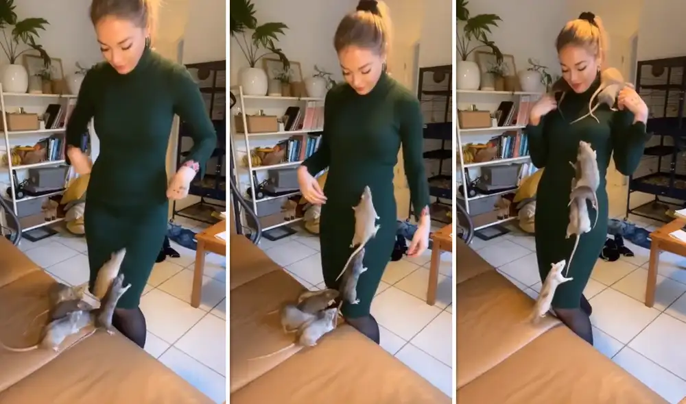 Joven cuenta con una decena de ratas domesticadas y comparte su afecto en redes sociales. Foto: composición LOL / Instagram: @landoffloof