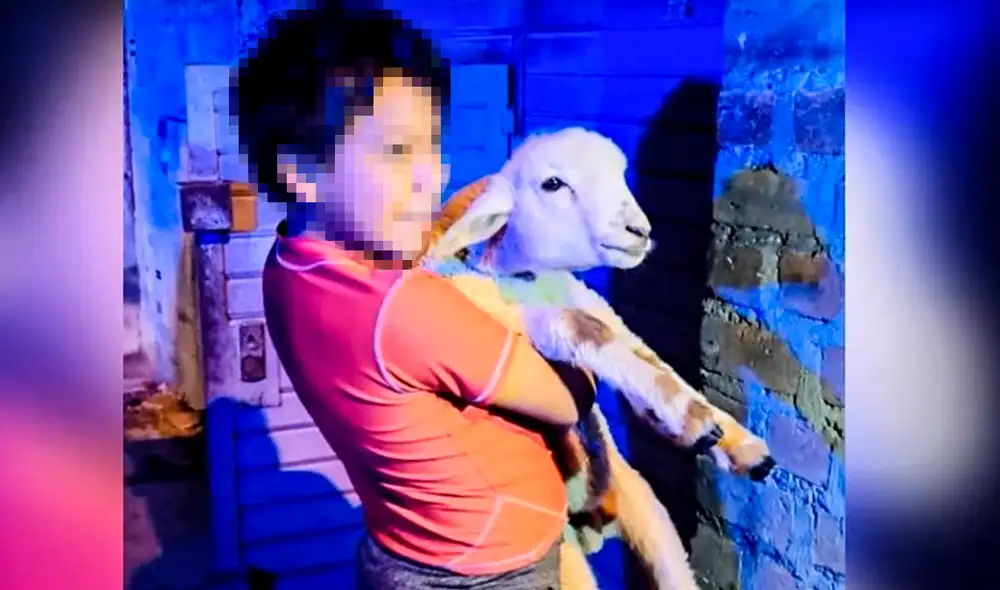 Niño se emocionó cuando vio a su mascota. Foto: Serenazgo de Cajamarca. Foto: Serenazgo de Cajamarca Niño se emocionó cuando vio a su mascota. Foto: Serenazgo de Cajamarca. Foto: Serenazgo de Cajamarca