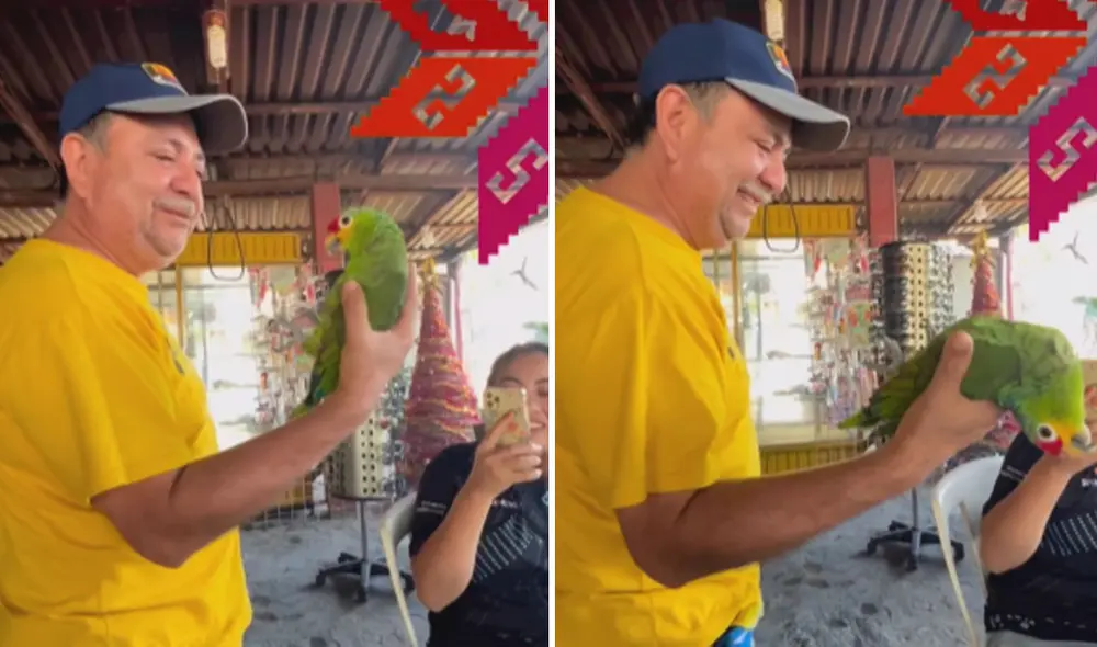 Miles de usuarios no han parado de reír con este video viral. Foto: composición LR/TikTok