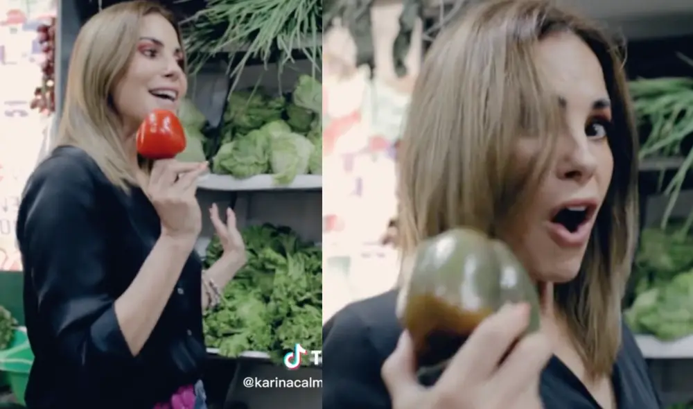 Karina Calmet no se olvida de su personaje en "Al fondo hay sitio". Foto: composición LR/TikTok