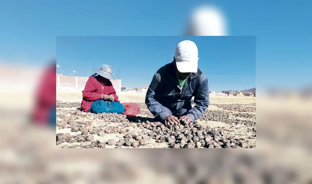 “Siempre se afrontó la pobreza monetaria, pero ella solo nos llena la pancita de comida, no nos resuelve los demás problemas de la pobreza", dice la presidenta Boluarte. Foto: La República “Siempre se afrontó la pobreza monetaria, pero ella solo nos llena la pancita de comida, no nos resuelve los demás problemas de la pobreza", dice la presidenta Boluarte. Foto: La República