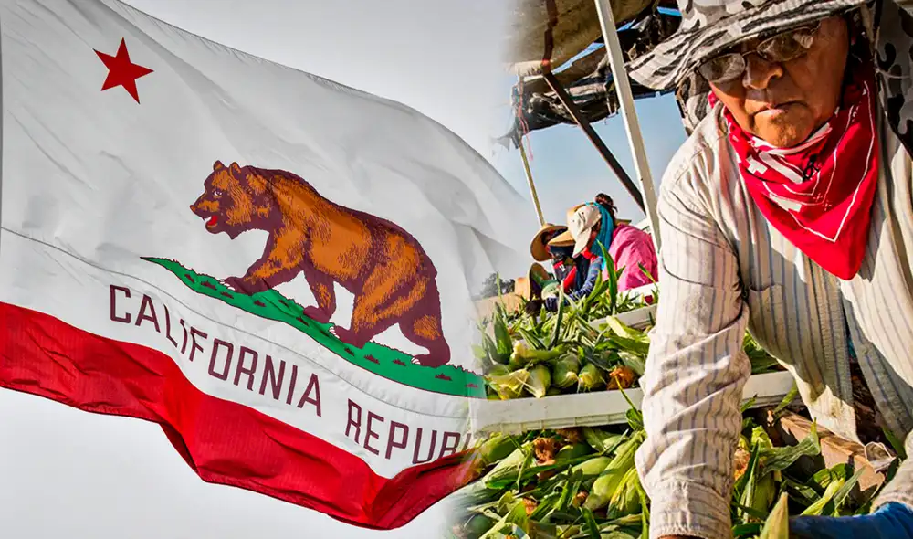 Las autoridades de California entregarán un bono de $600 a trabajadores del campo y agrícolas. Foto: composición RL/Getty Images/lacooperativa