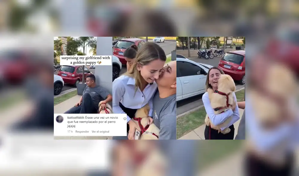 Cibernautas trolearon al novio diciendo que fue reemplazado. Foto: composición LR/Instagram/@Cutesdog4u