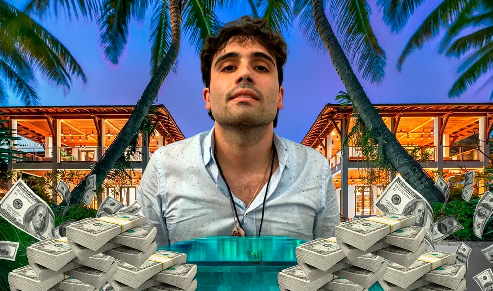 Foto: composición LR/ PNGWing