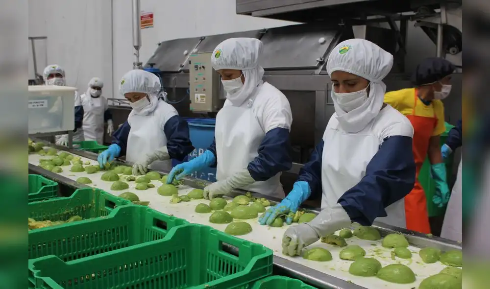 La mayor cifra de empleos en el sector exportador se registró en Lima con más de 1 millón de puesto de trabajo. Foto: ADEX