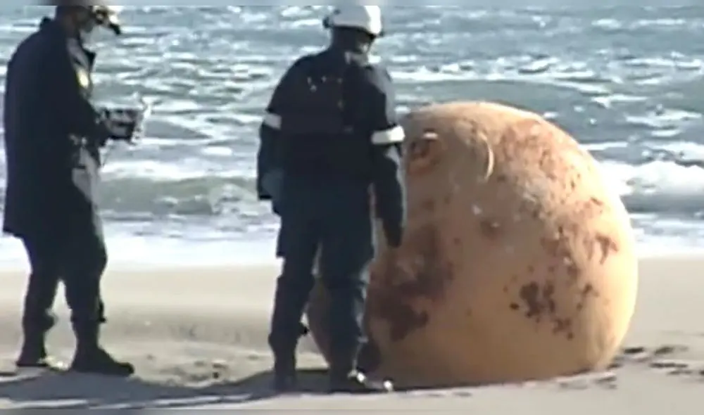 Una misteriosa bola metálica aparece en una playa de Japón. Foto: NIUS