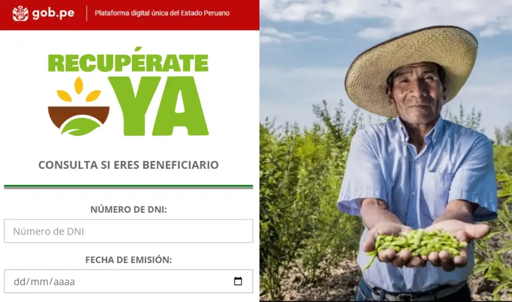 Más de 200.000 agricultores fueron afectados por la ausencia de lluvias. / Composición LR/Foto: Andina