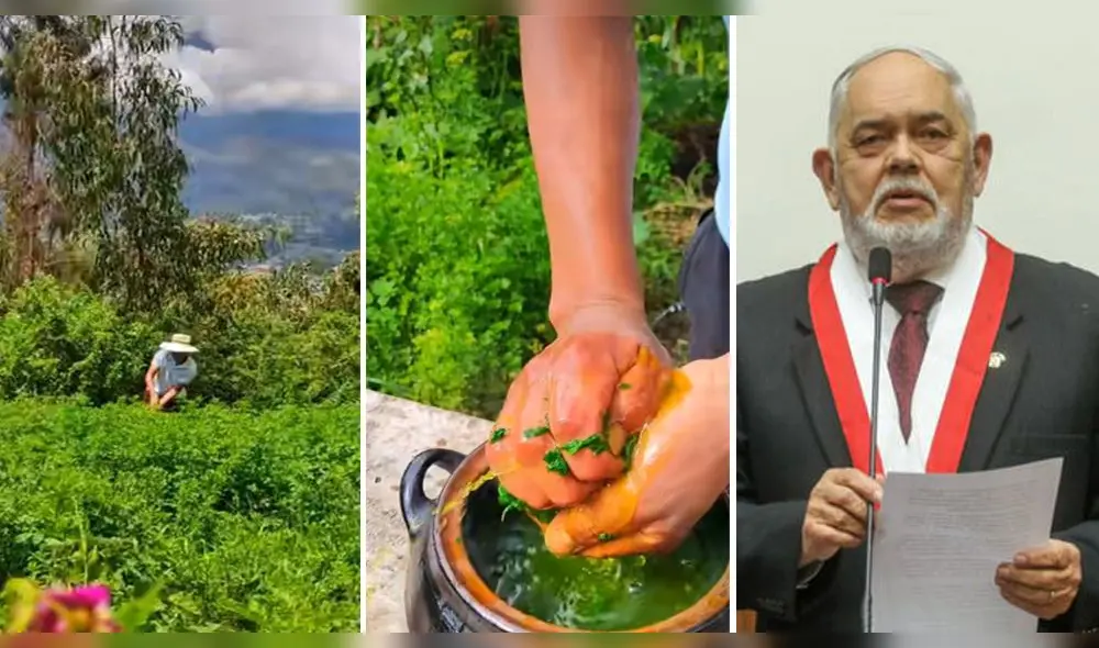 Apurímac. Peculiar receta causa sensación en TikTok. Foto: captura TikTok