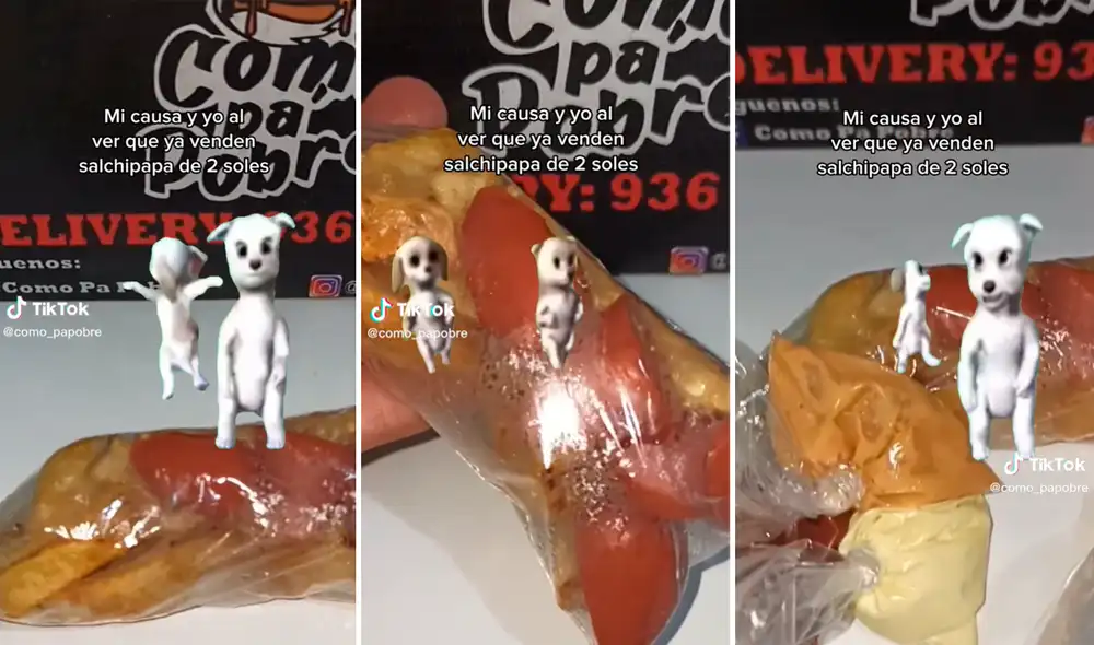 El video viral acumuló más de un millón de visualizaciones en TikTok. Foto: composición LR/TikTok/@como_papobre