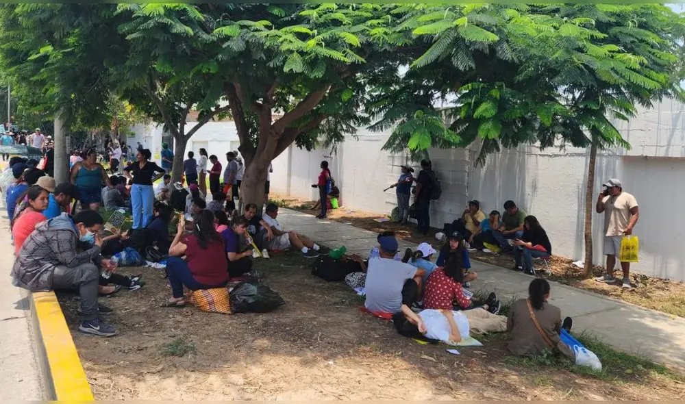 La Universidad Agraria La Molina ofrece 510 vacantes. Foto: Mary Luz/URPI-GLR - Video: Mary Luz/URPI-GLR La Universidad Agraria La Molina ofrece 510 vacantes. Foto: Mary Luz/URPI-GLR - Video: Mary Luz/URPI-GLR