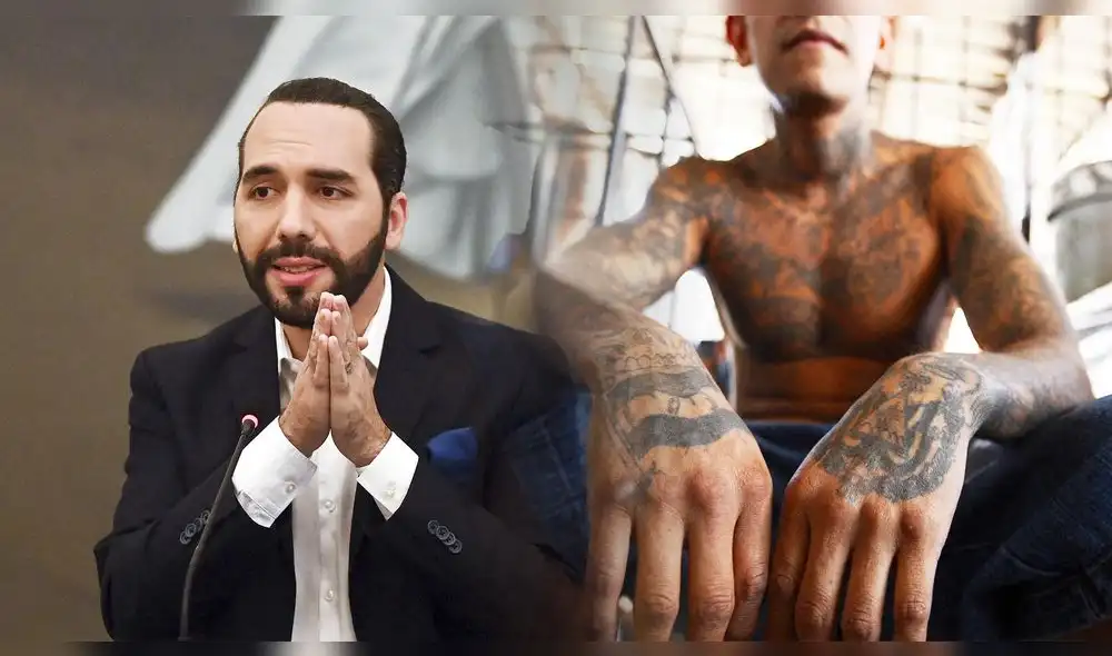 Dos funcionarios de alto cargo del gobierno de Nayib Bukele, se habrian reunido con miembros de los Maras Salvatruchas. Foto: composición LR/AFP Dos funcionarios de alto cargo del gobierno de Nayib Bukele, se habrian reunido con miembros de los Maras Salvatruchas. Foto: composición LR/AFP