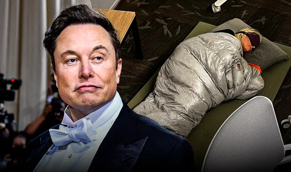 Esther Crawford apoyaba los cambios de Elon Musk en Twitter. Foto: composición LR/AFP Video: Expansión/YouTube