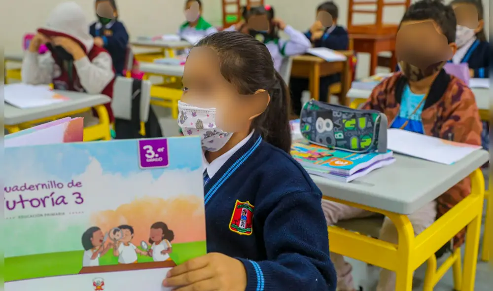 Las escuelas privadas tienen autonomía para establecer qué exigir a los padres de familia previo al reinicio de clases. Foto: Andina