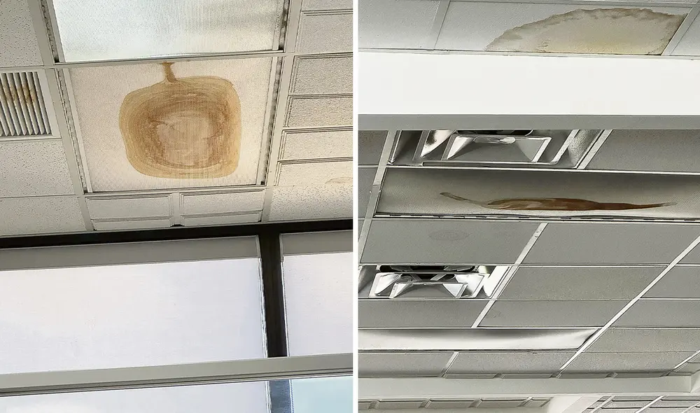 Reporte gráfico. Imágenes registradas hace una semana del techo del cuarto piso del Consulado General de Perú en Miami. Foto: composición LR Reporte gráfico. Imágenes registradas hace una semana del techo del cuarto piso del Consulado General de Perú en Miami. Foto: composición LR