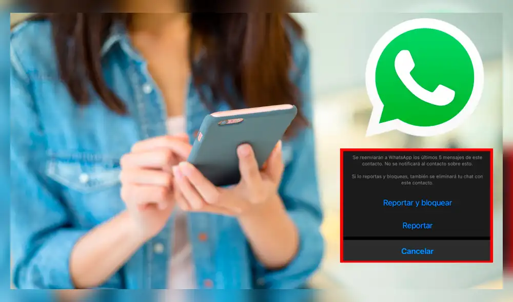 Descubre qué ocurre si reportas a un contacto o grupo de WhatsApp. Foto: composición LR/ABC noticias/WhatsApp