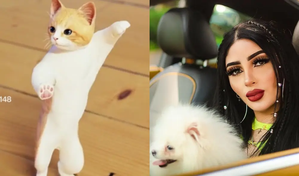 Bellakath se hizo conocida en México por su participación en programas de TV Azteca. Foto: composición LR/TikTok/Bellakath/Instagram