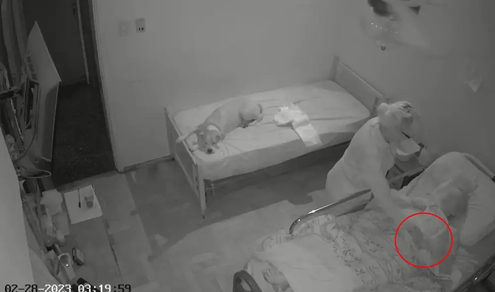 Cámaras de seguridad de la habitación de la anciana captaron el momento del robo en La Plata. Foto: captura TN
