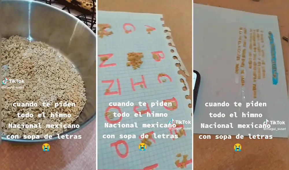 El video ha logrado más de 9 millones de reproducciones en redes sociales. Foto: composición de LR/TikTok/@Magui_suset