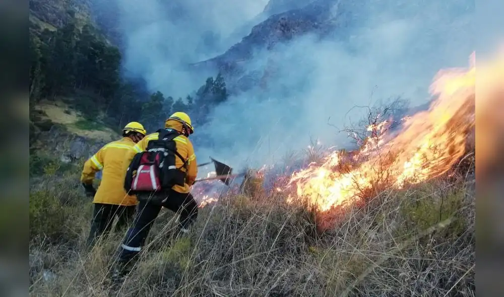 El centro del país registra más incendios forestales. Foto: La República
