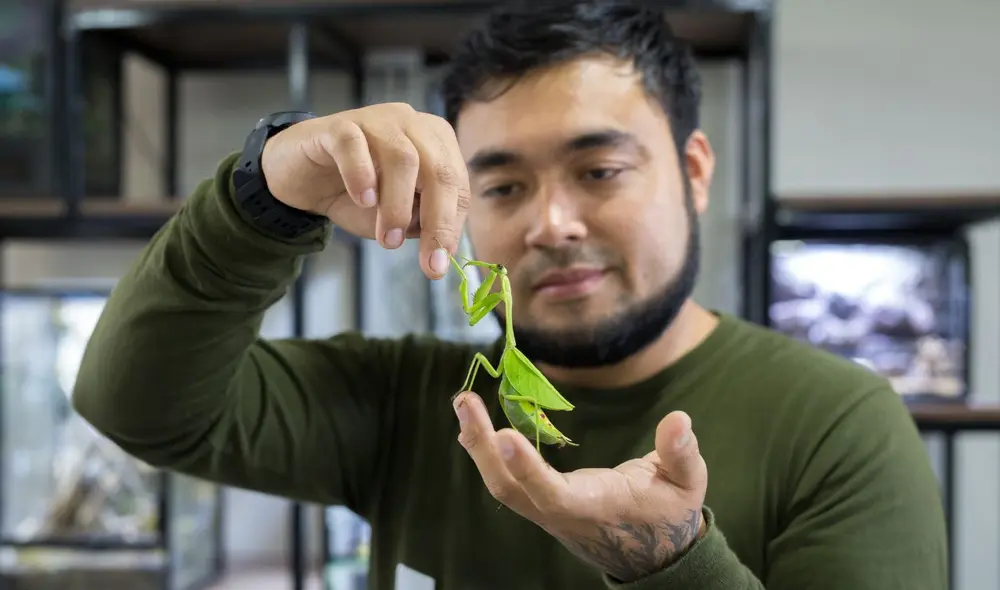 Moisés Paredes, responsable del proyecto Artrotheca con una mantis. Foto: La República