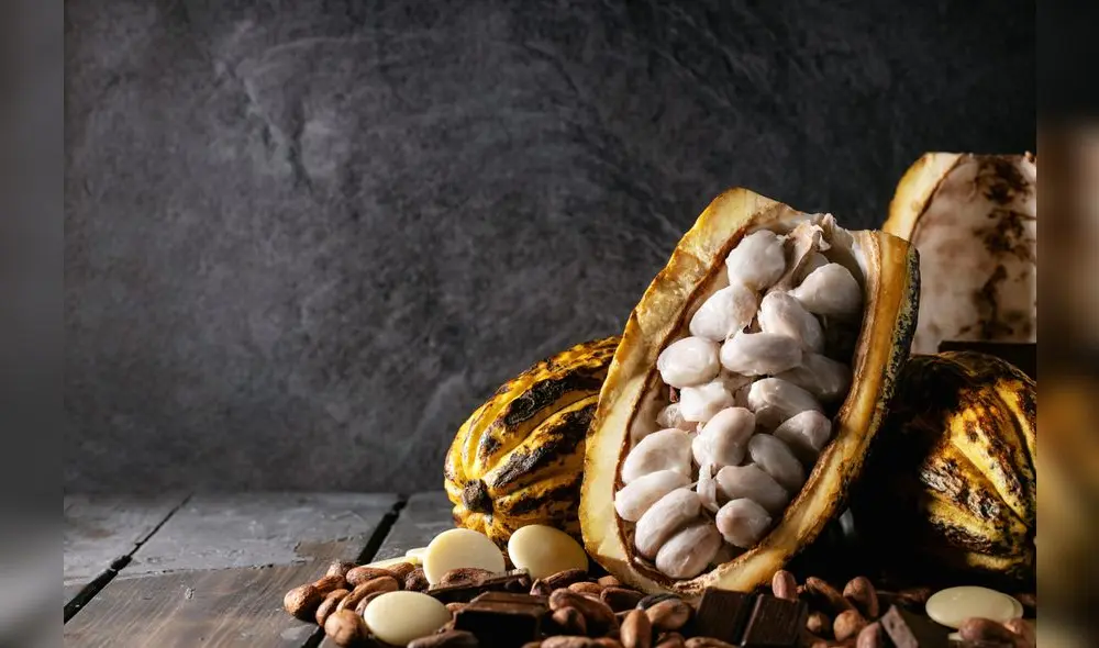 Exportación de cacao orgánico en grano cayó -15%. Foto: ADEX