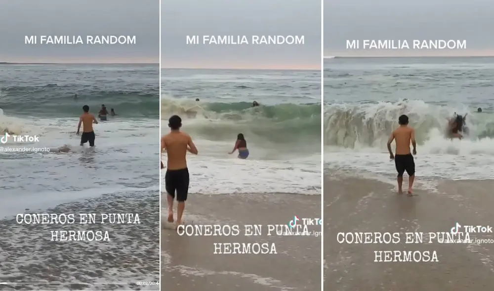 Miles de usuarios no han parado de reír con estas imágenes. Foto: composición LR/TikTok Miles de usuarios no han parado de reír con estas imágenes. Foto: composición LR/TikTok