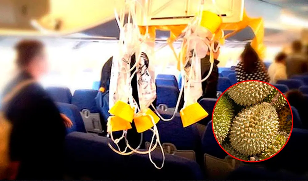 Es conocida como la fruta “más apestosa del mundo”. Foto: composición LR / RT / Avión al Día Es conocida como la fruta “más apestosa del mundo”. Foto: composición LR / RT / Avión al Día