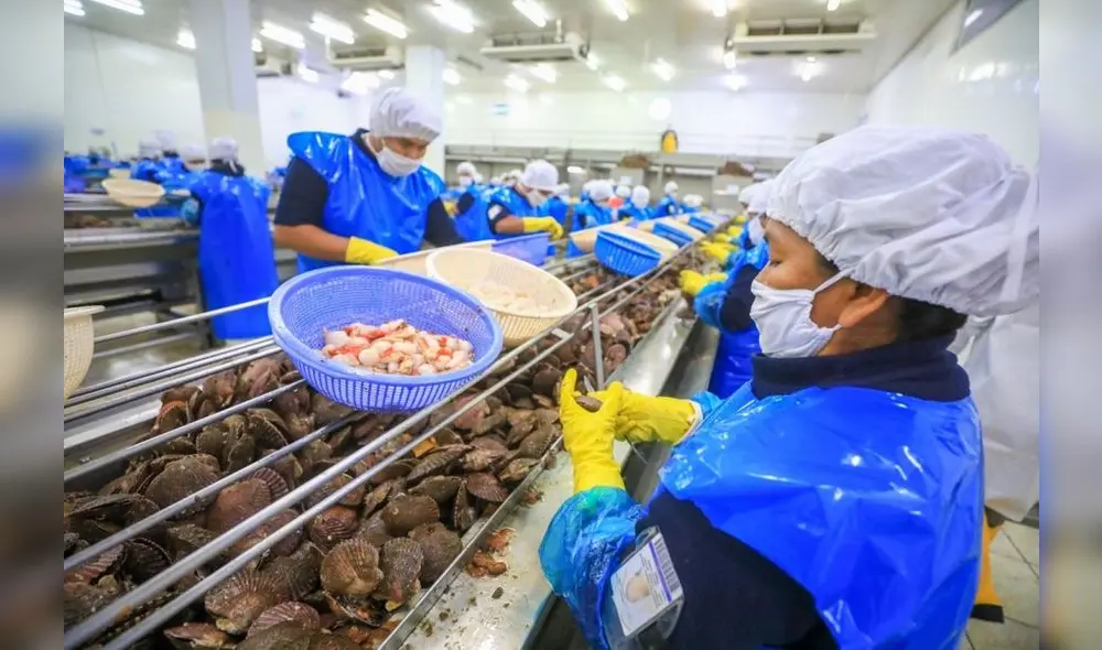 Indecopi no se pronunciará sobre la prohibición de tercerización laboral hasta que PJ resuelva recursos de acción popular . Foto: AndinaFoto: Andina