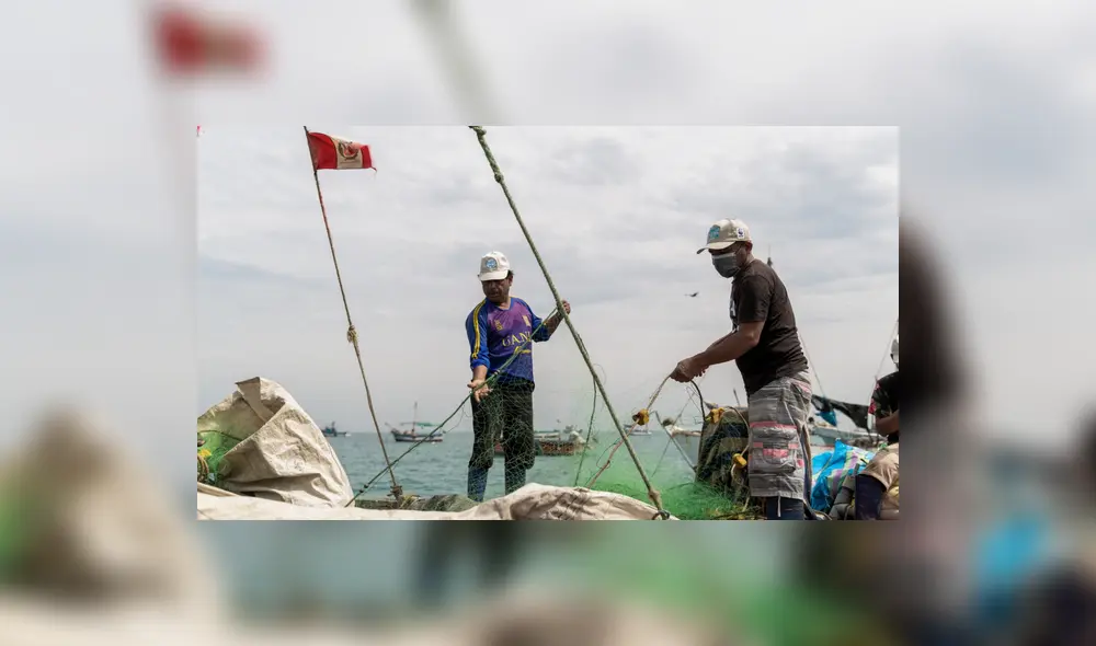 Fuente: Difusión Fuente: Difusión