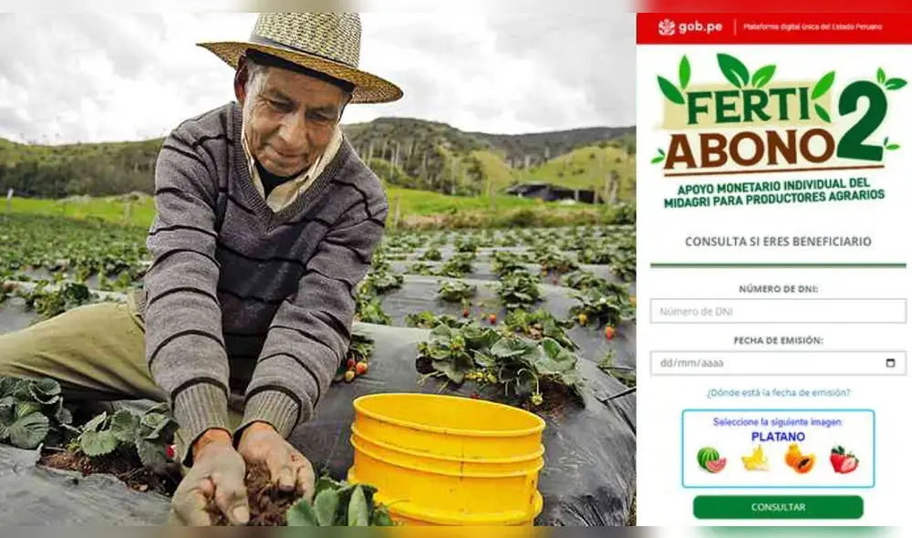 Productores agrarios que tienen unidades agropecuarias de hasta 0,5 hectáreas recibirán S/235. Foto: Composición LR/Andina/Midagri