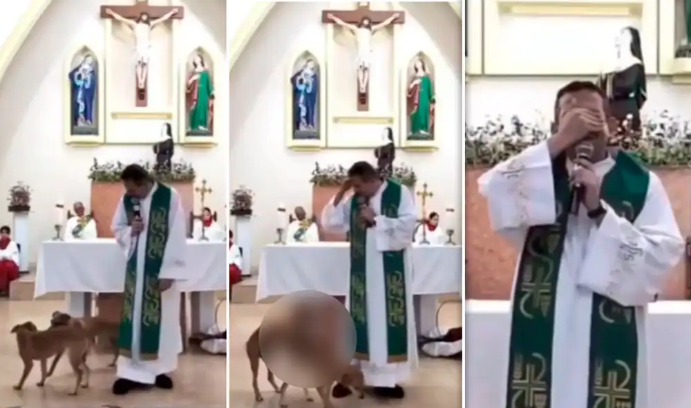 Los canes interrumpieron la misa llevada a cabo en una iglesia de Brasil. Foto: composición LR/TikTok/@Padrepierremauriciooficial