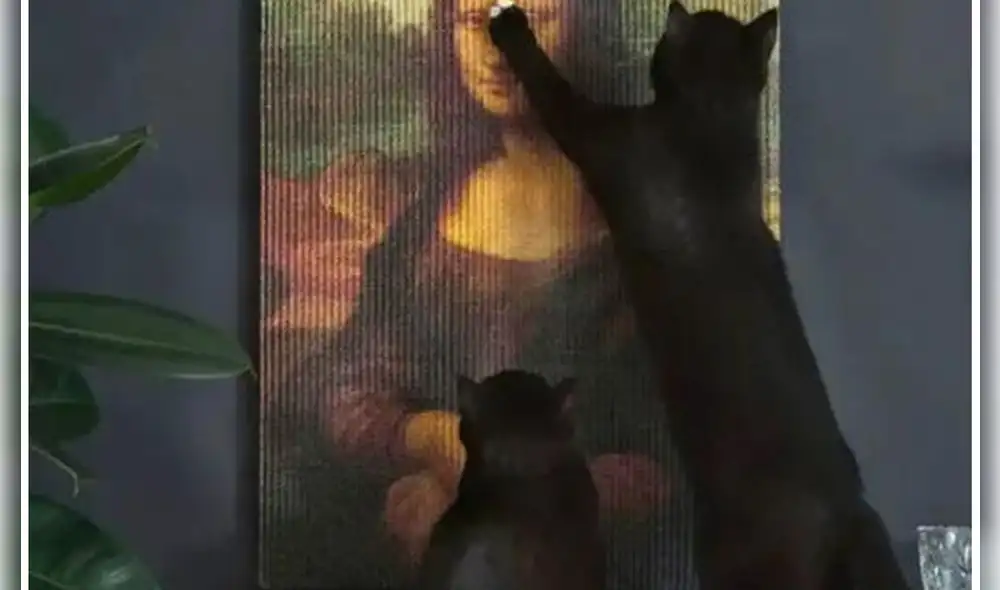 Las obras de arte sirven como rascadores para gatos. Foto: Ojo Las obras de arte sirven como rascadores para gatos. Foto: Ojo