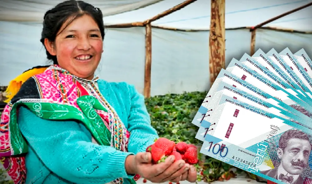 Entérate todo sobre este crédito de Agrobanco. Foto: composición de Jazmin Ceras/Andina