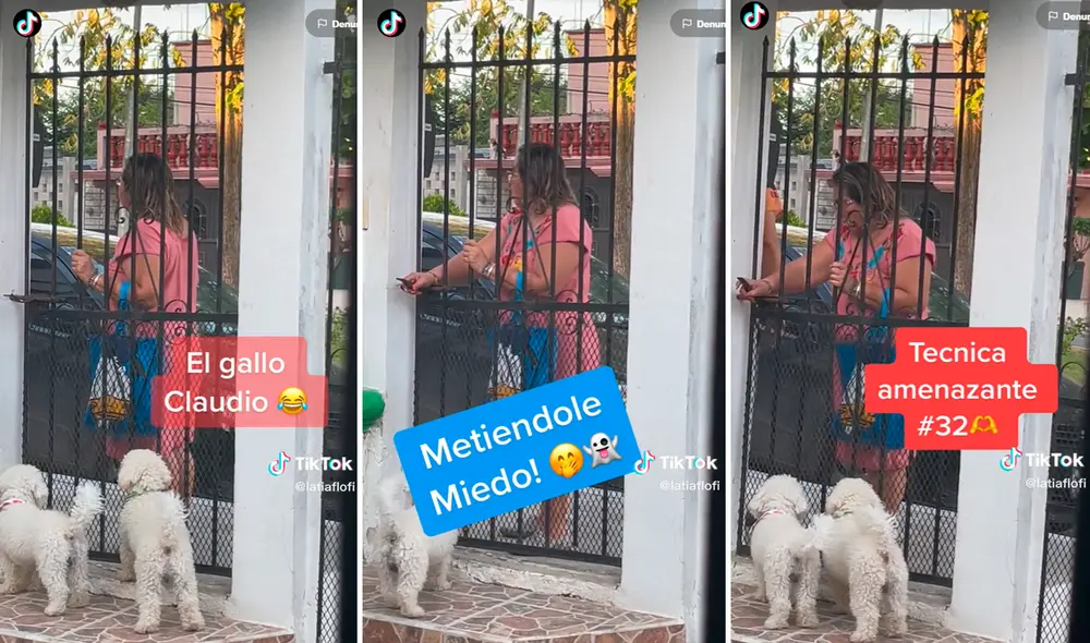 Muchos internautas se quedaron con la curiosidad de si entró Bruno a su casa. Foto: Composición de LR/TikTok/@Latiaflofi