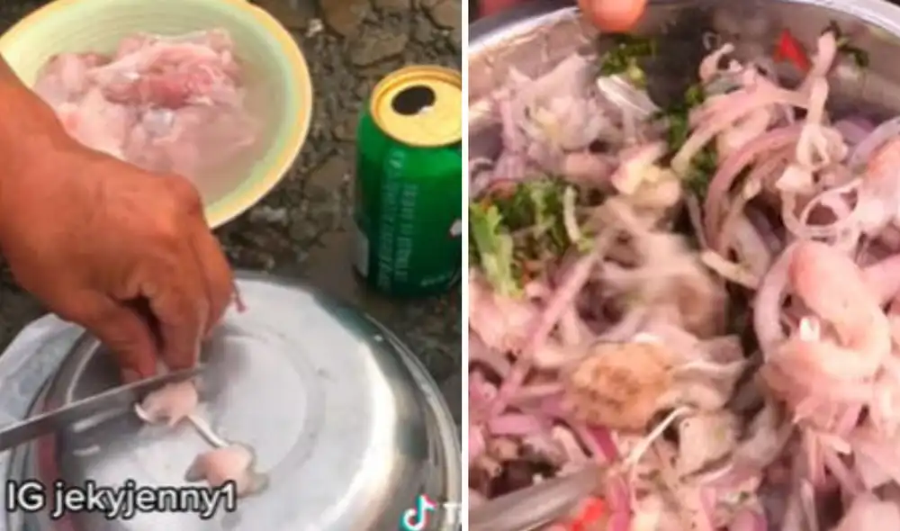 Miles quedaron impresionados al ver este video viral. Foto: composición LR/TikTok Miles quedaron impresionados al ver este video viral. Foto: composición LR/TikTok