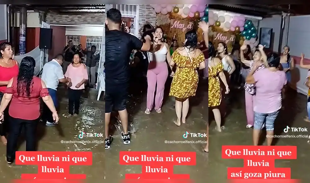 El video superó las 495.700 reproducciones. Foto: composición Lol/captura de TikTok/@CachorroElFenix.Official