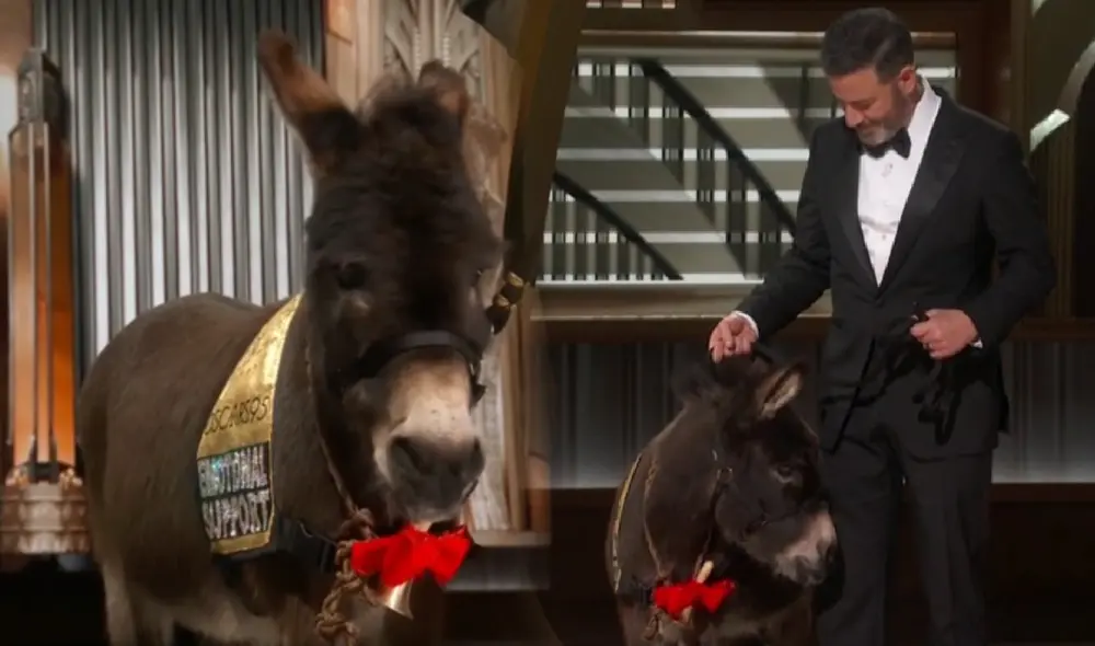 Burrito impresiona al aparecer en los Premios Oscar 2023. Foto: composición LR/ Captura TNT