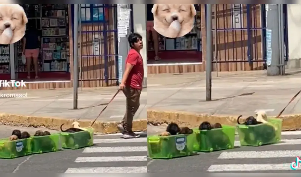 El video superó las 128.200 reproducciones. Foto: composición LR/captura de TikTok/@Igorkromasol