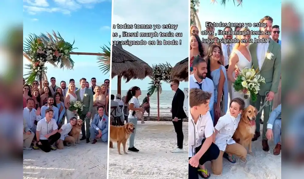 Murph el perrito influencer brilló en boda | Foto: Composición LoL - Instagram Murph el perrito influencer brilló en boda | Foto: Composición LoL - Instagram