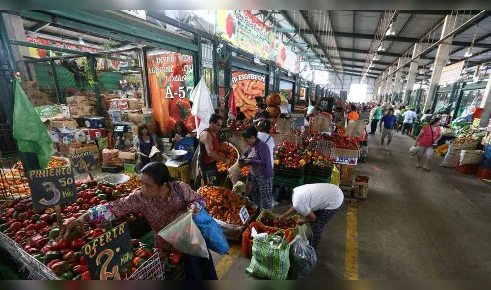El stock de cebolla y ajo en el Gran Mercado Mayorista de Lima es de 100%. Foto: Midagri