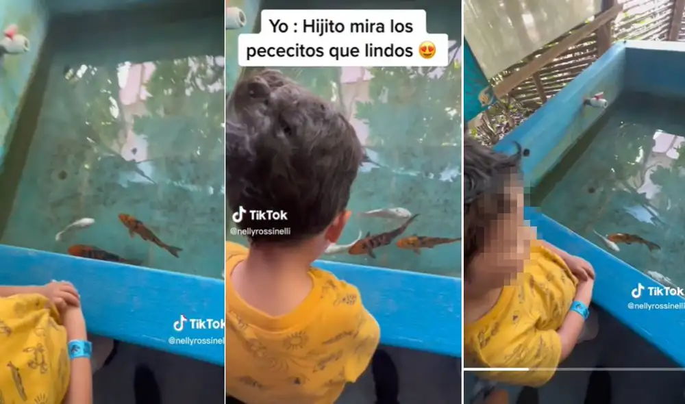 Miles de usuarios quedaron cautivados con el video. Foto: composición LR/TikTok Miles de usuarios quedaron cautivados con el video. Foto: composición LR/TikTok